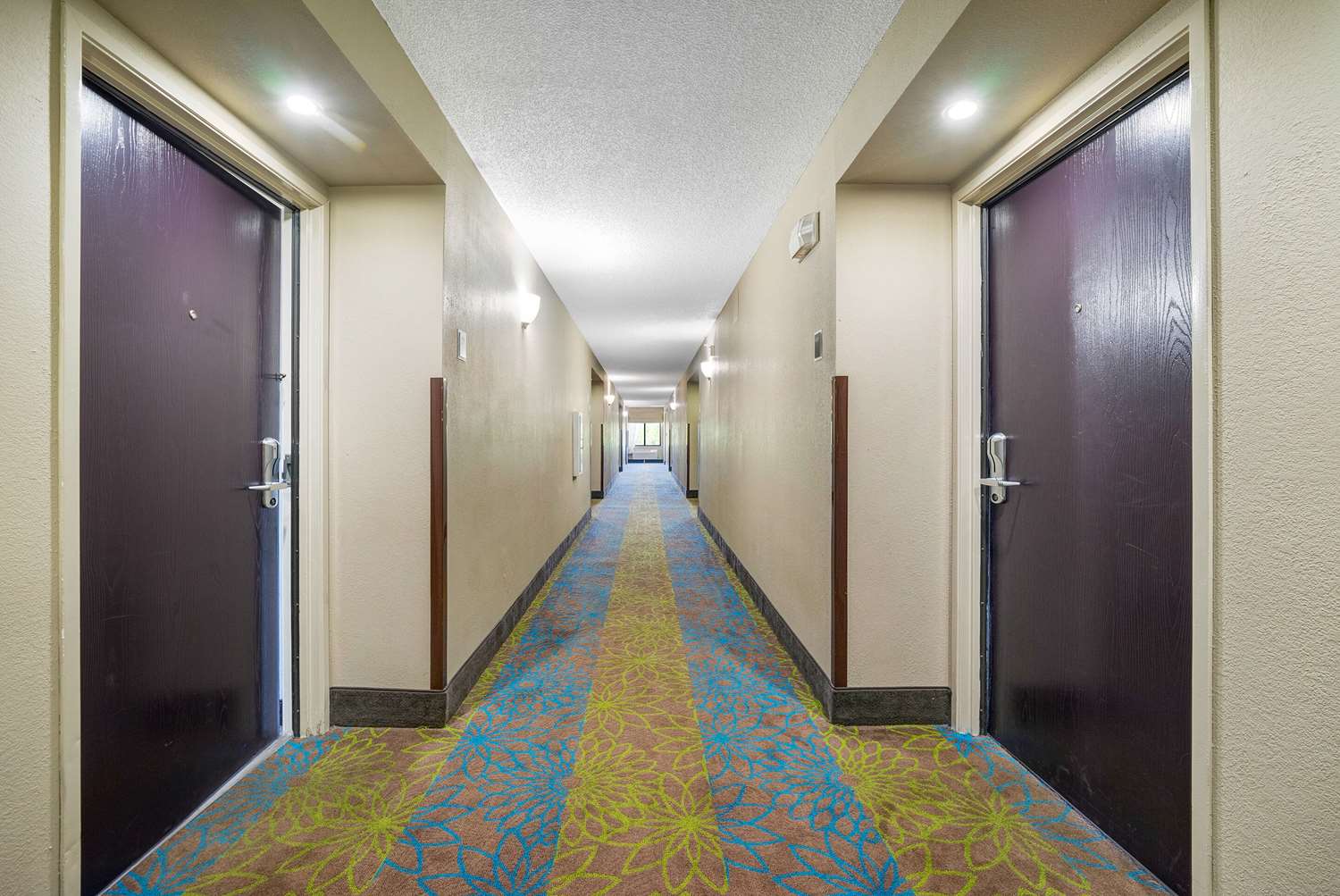 Wingate by Wyndham Leesburg Florida 33/35