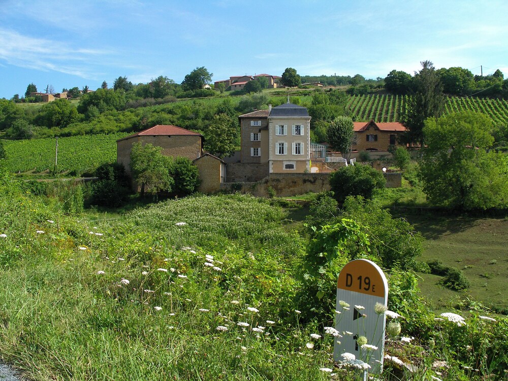 Le Clos des Fayettes 41/50