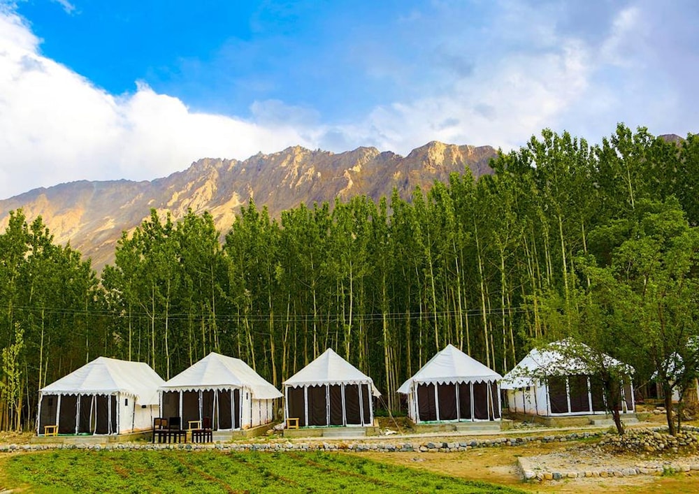 Ladakh Tarrain Camp 20/24