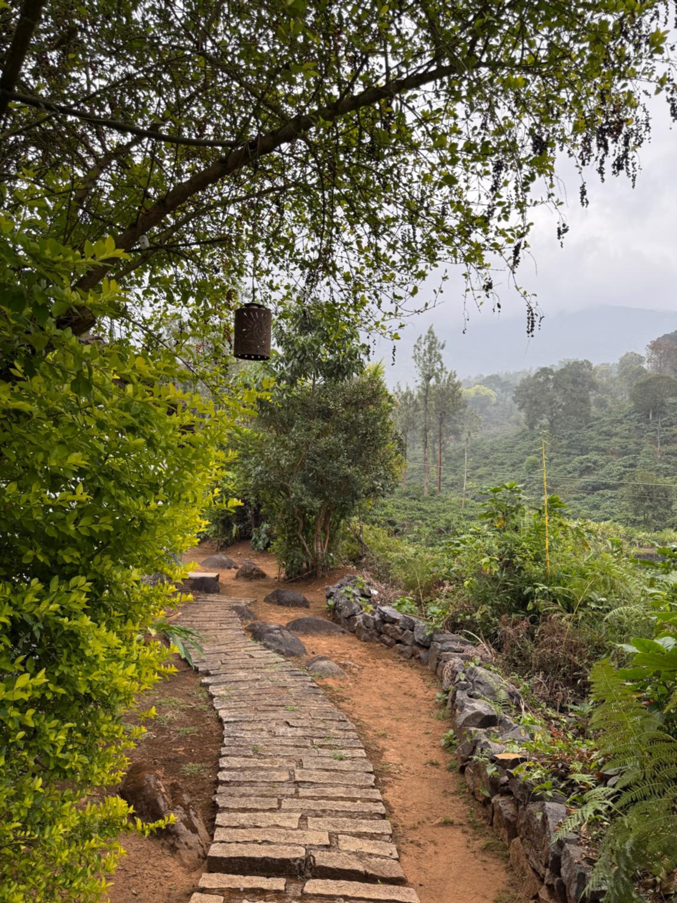 Annapara Home Stay 26/41