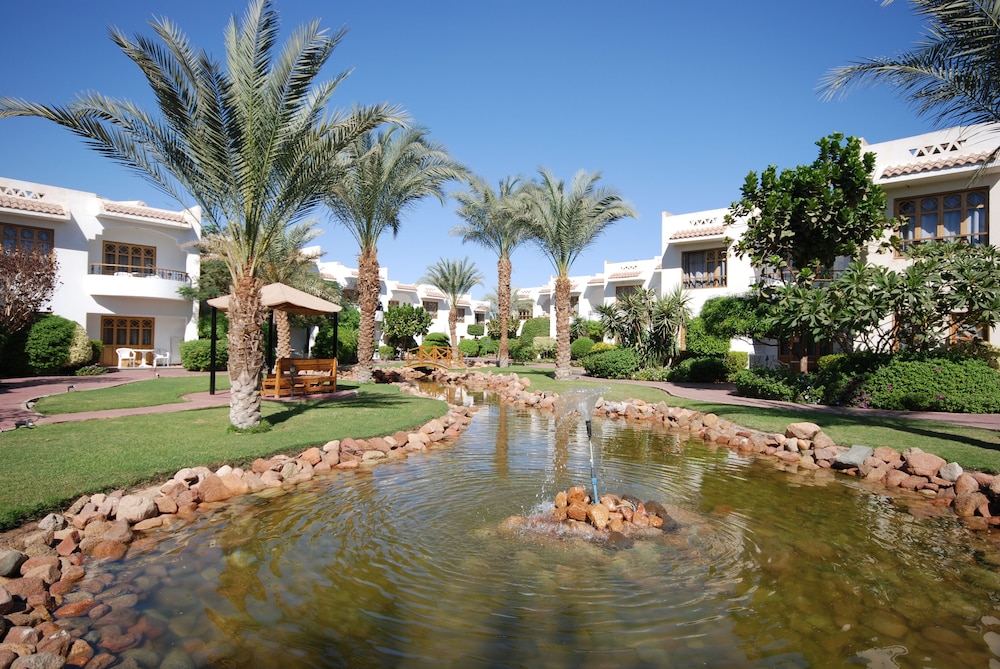 Dive Inn Resort 102/107