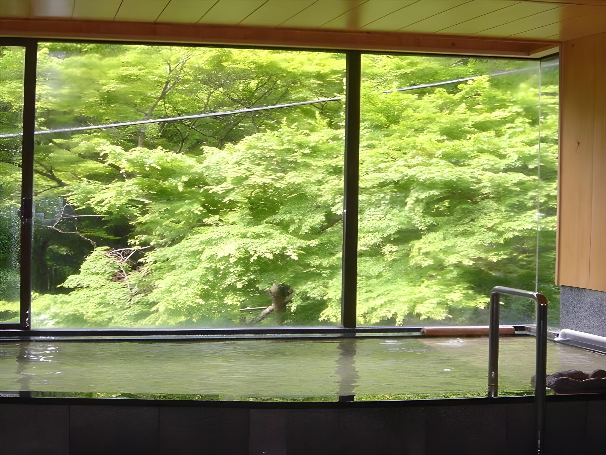 Yugawara Onsen Kamata 18/28