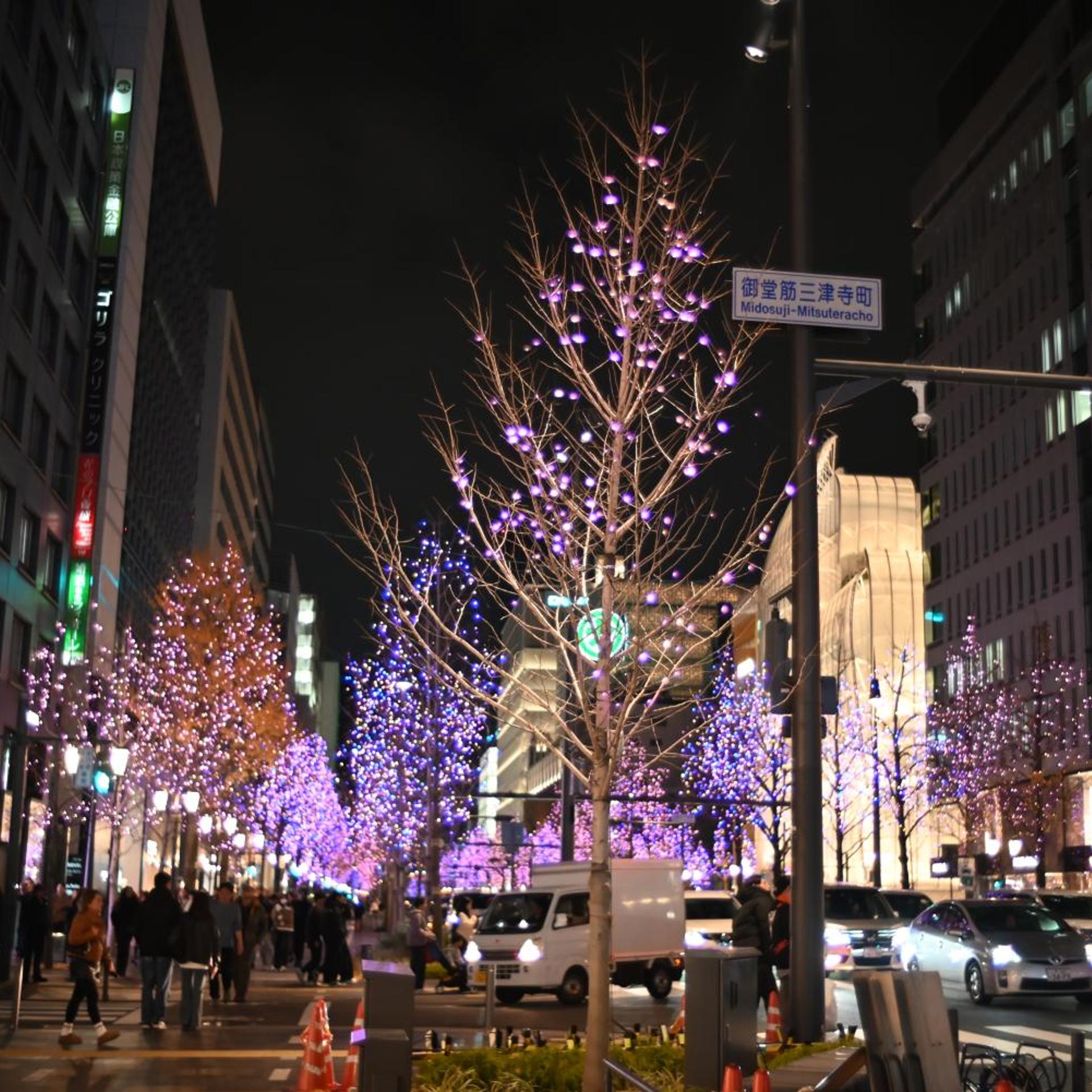 Henn na Hotel Express Osaka Namba Nipponbashi Annex 45/50