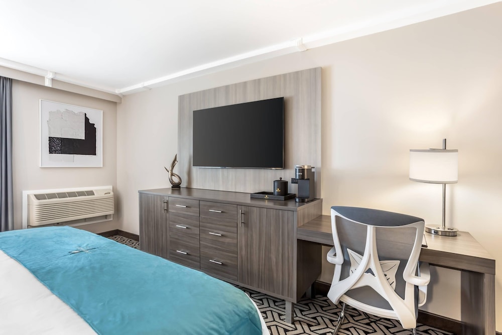 The Ashi, an Ascend Collection Hotel 40/50