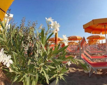 Elite Hotel 20/51