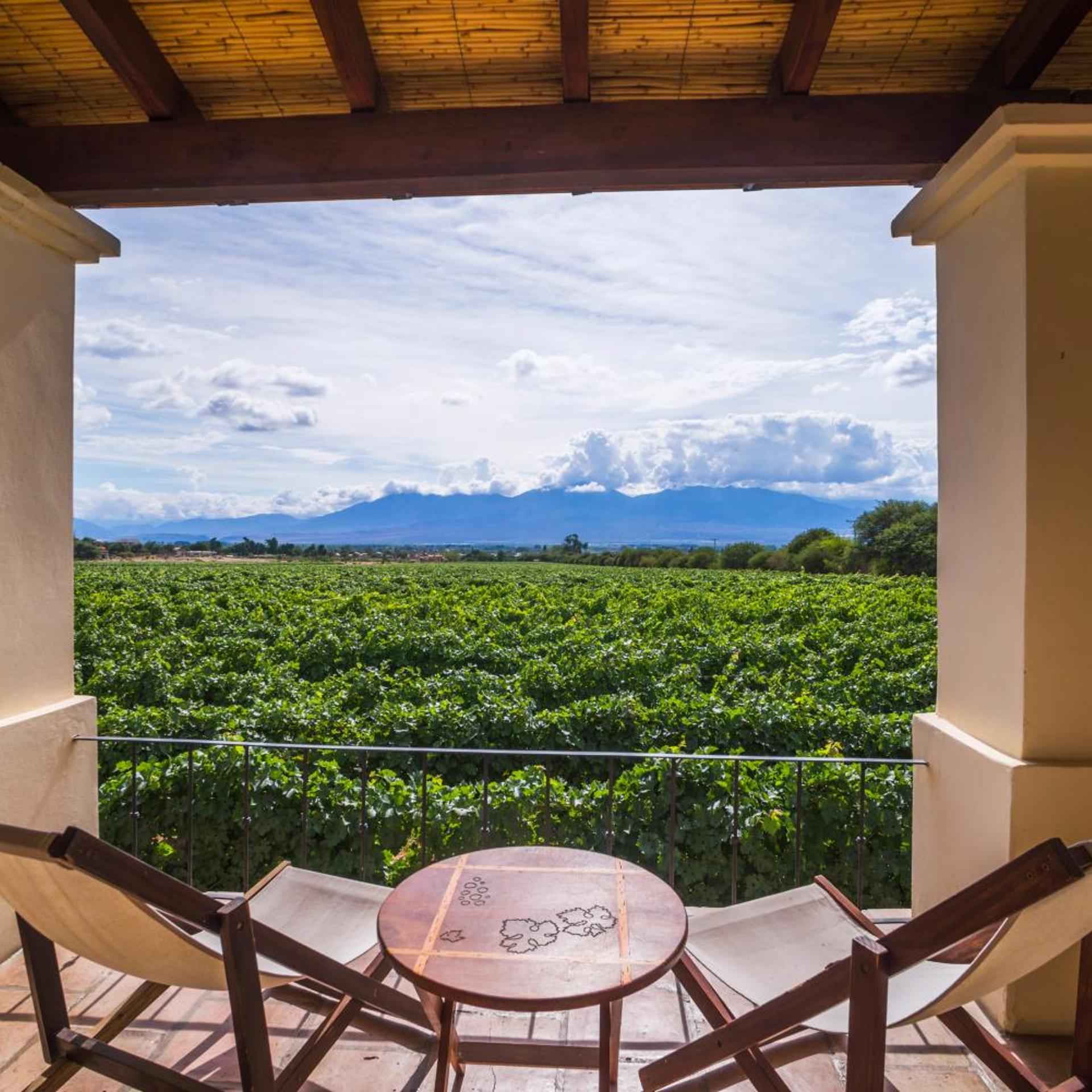 Vinas de Cafayate Wine Resort 42/53