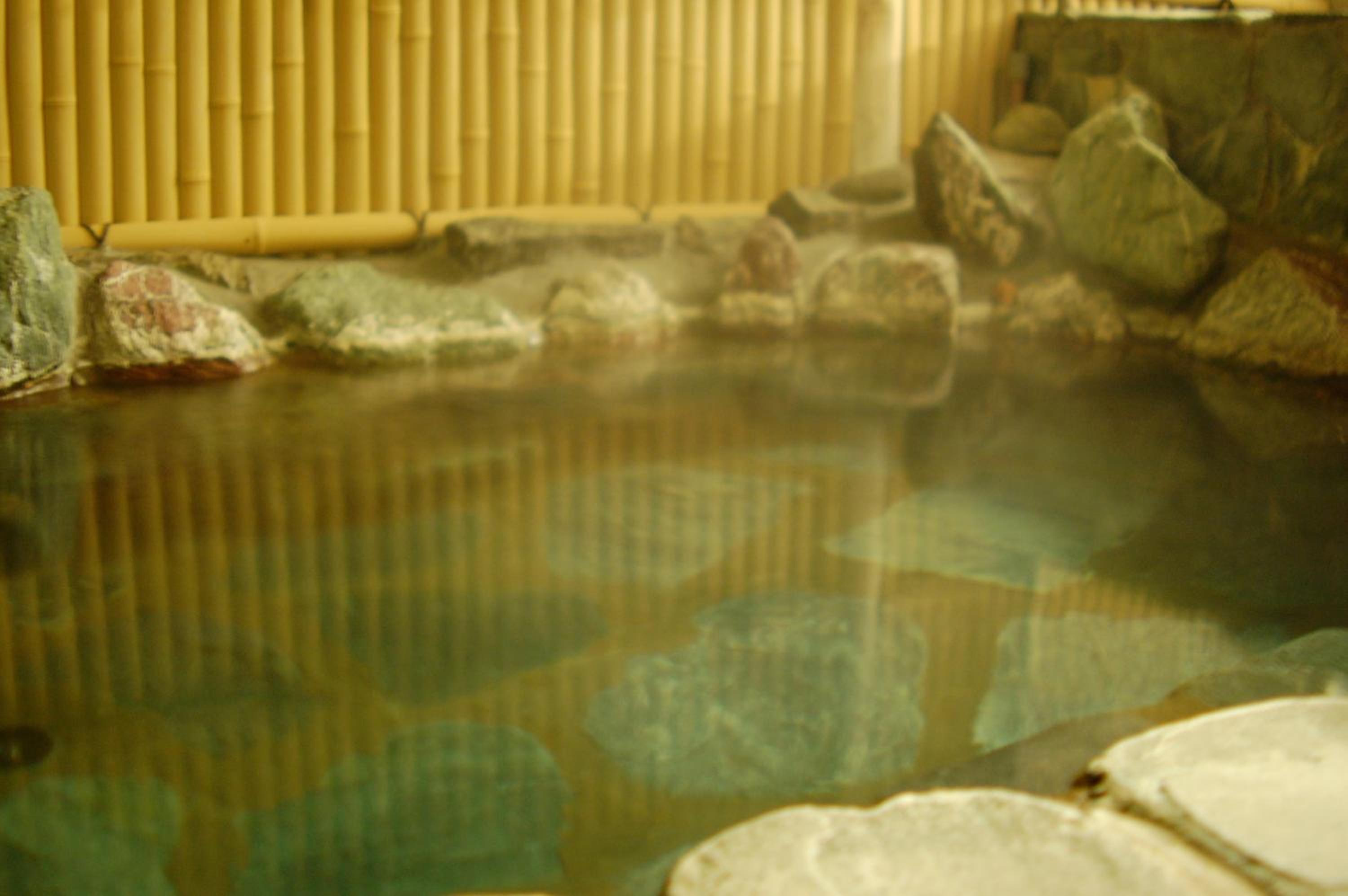 Miyataya Ryokan 24/50