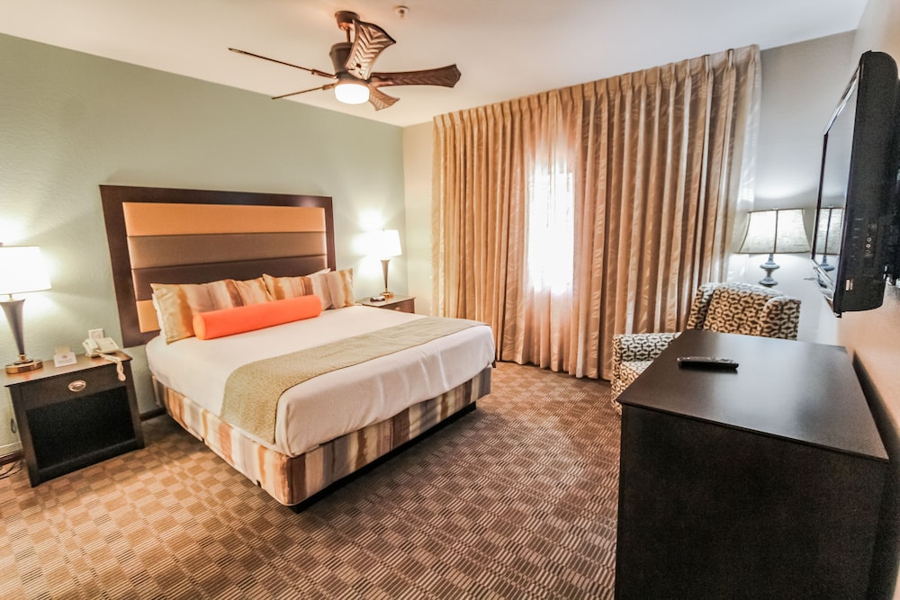 Desert Isle Of Palm Springs 9/50