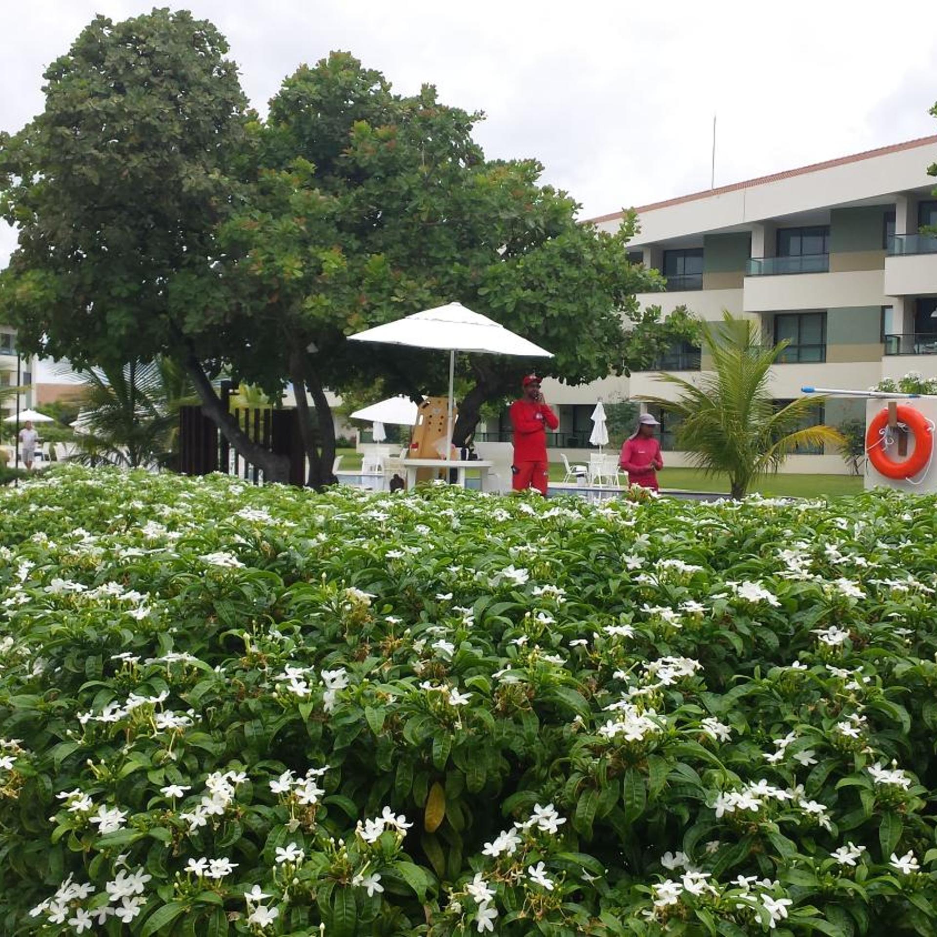 Carneiros Beach Resort 3/38