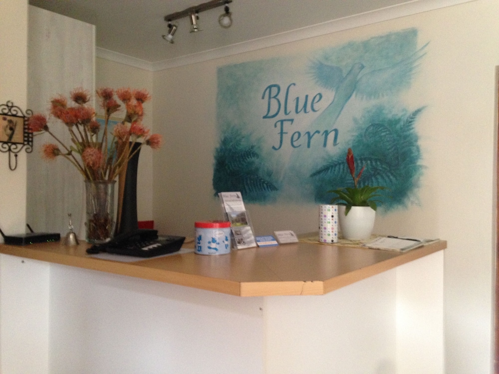 Blue Fern of Knysna 7/50