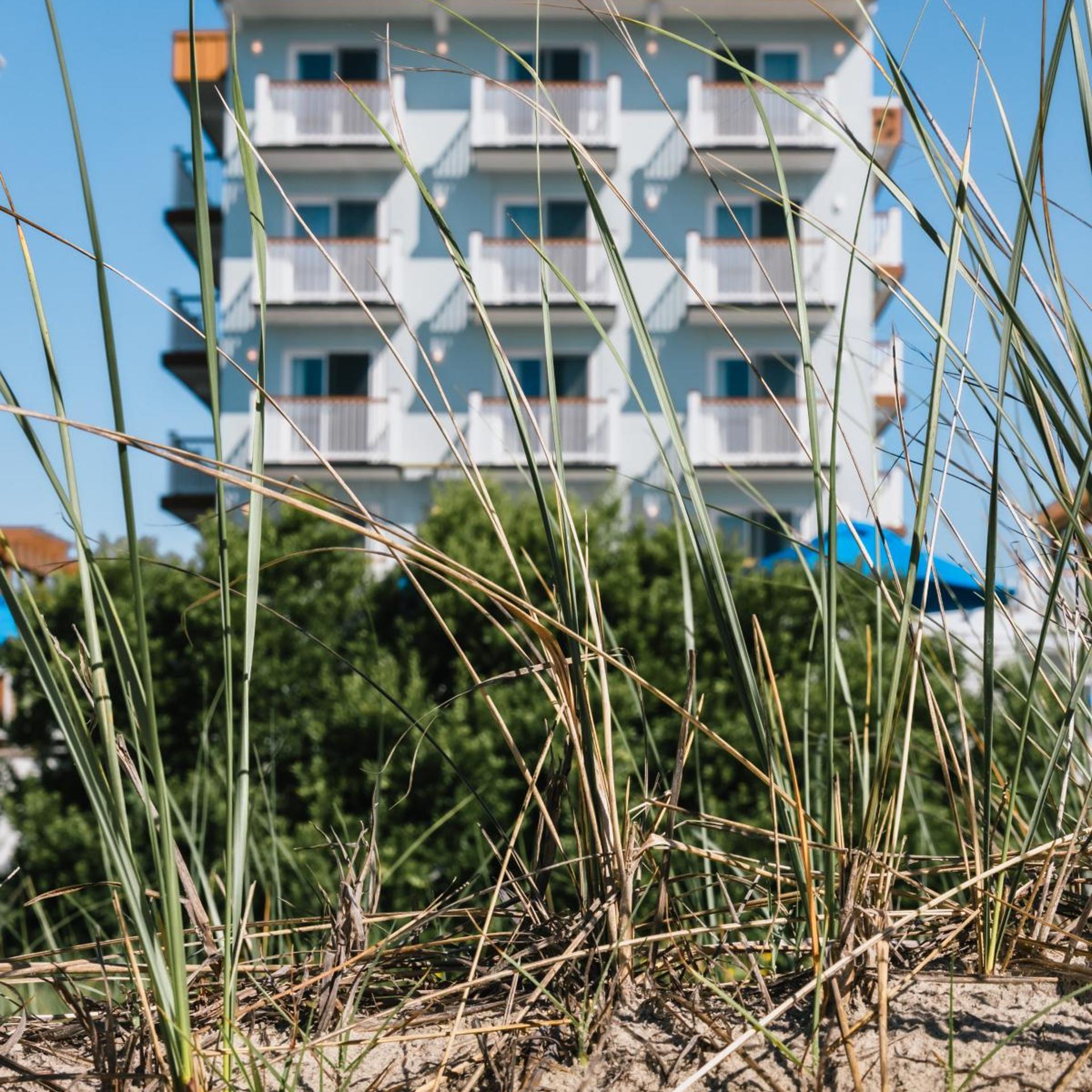 Mahalo Diamond Beach Resort 2/50