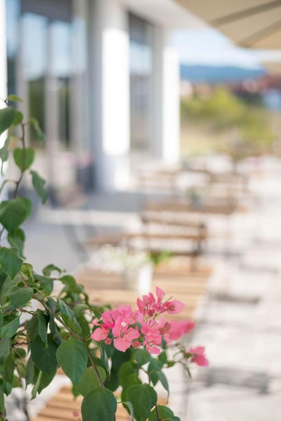 Aloha Hotel Nis in Pantelej