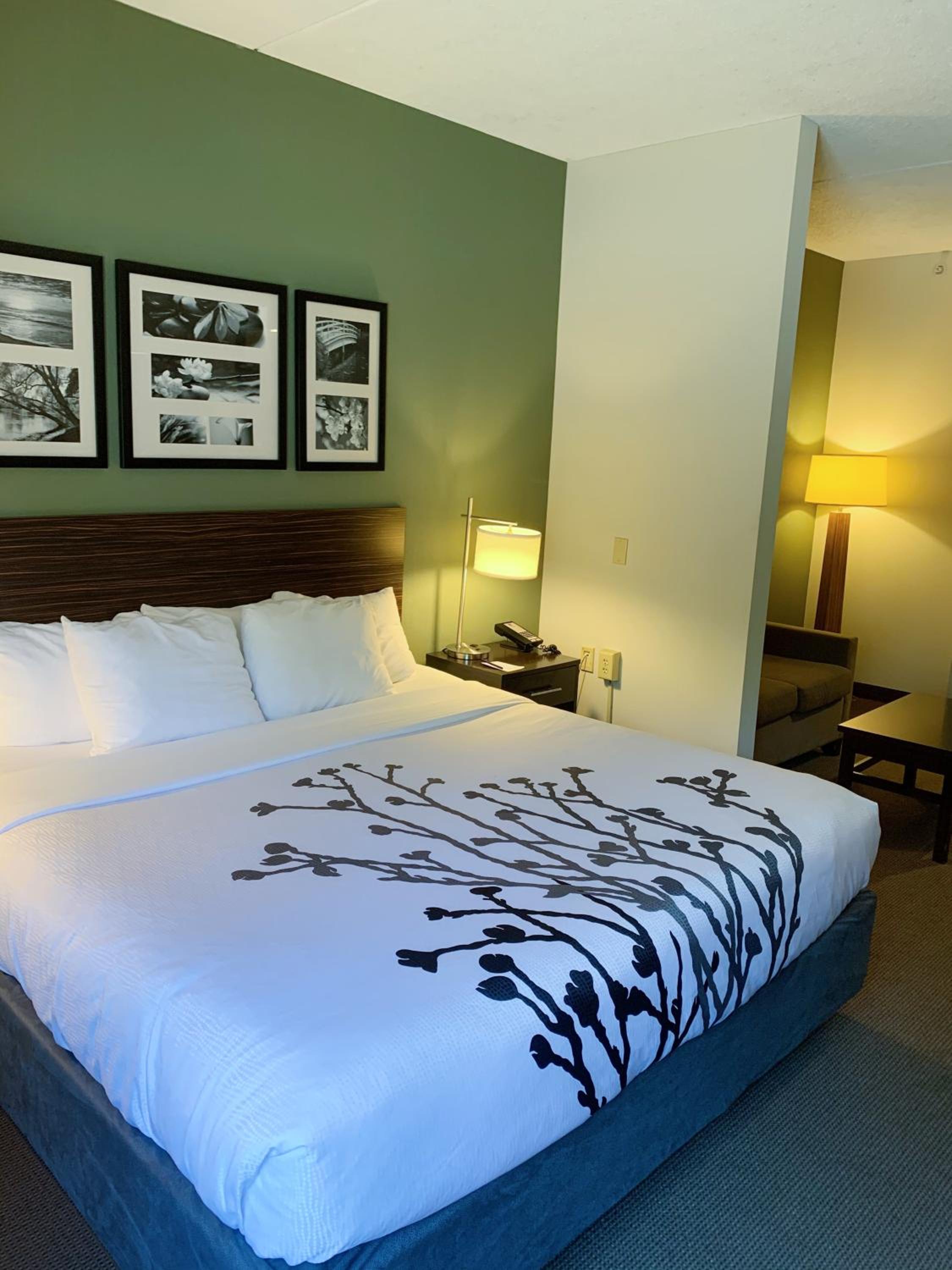 Suite, King Bed, Sofa, Jetted Tub