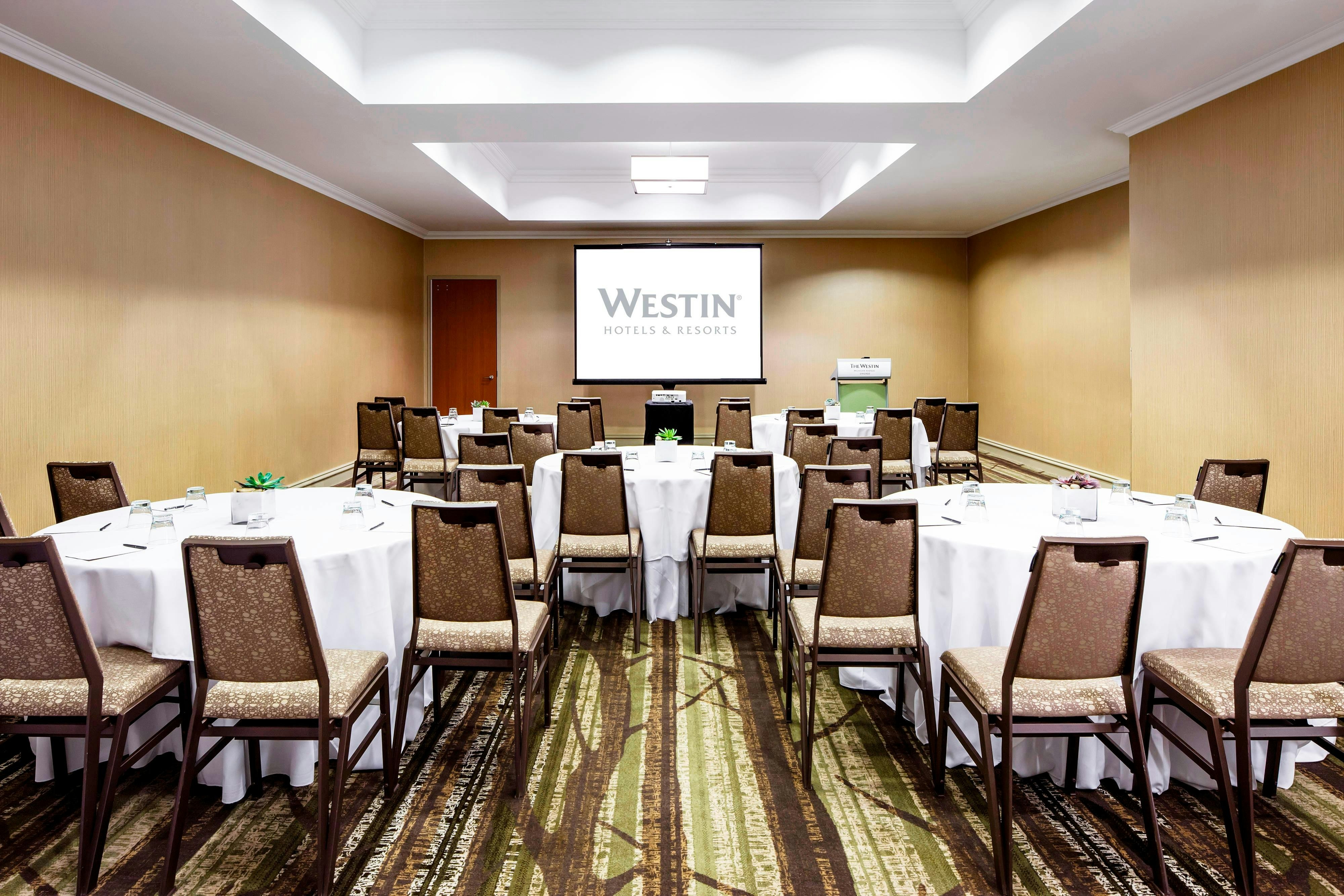 WESTIN MICHIGAN AVENUE 43/58