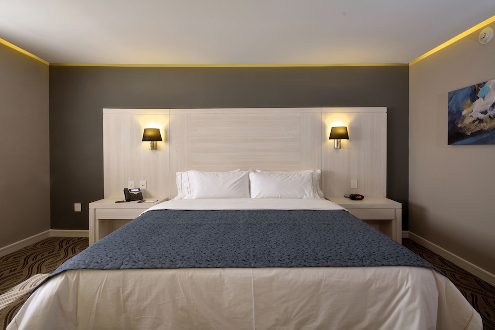 Holiday Inn Express Pachuca 15/57