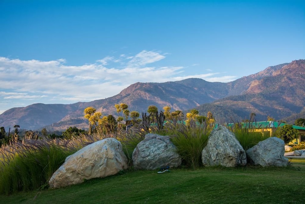 Corbett The Baagh Spa & Resort 22/29