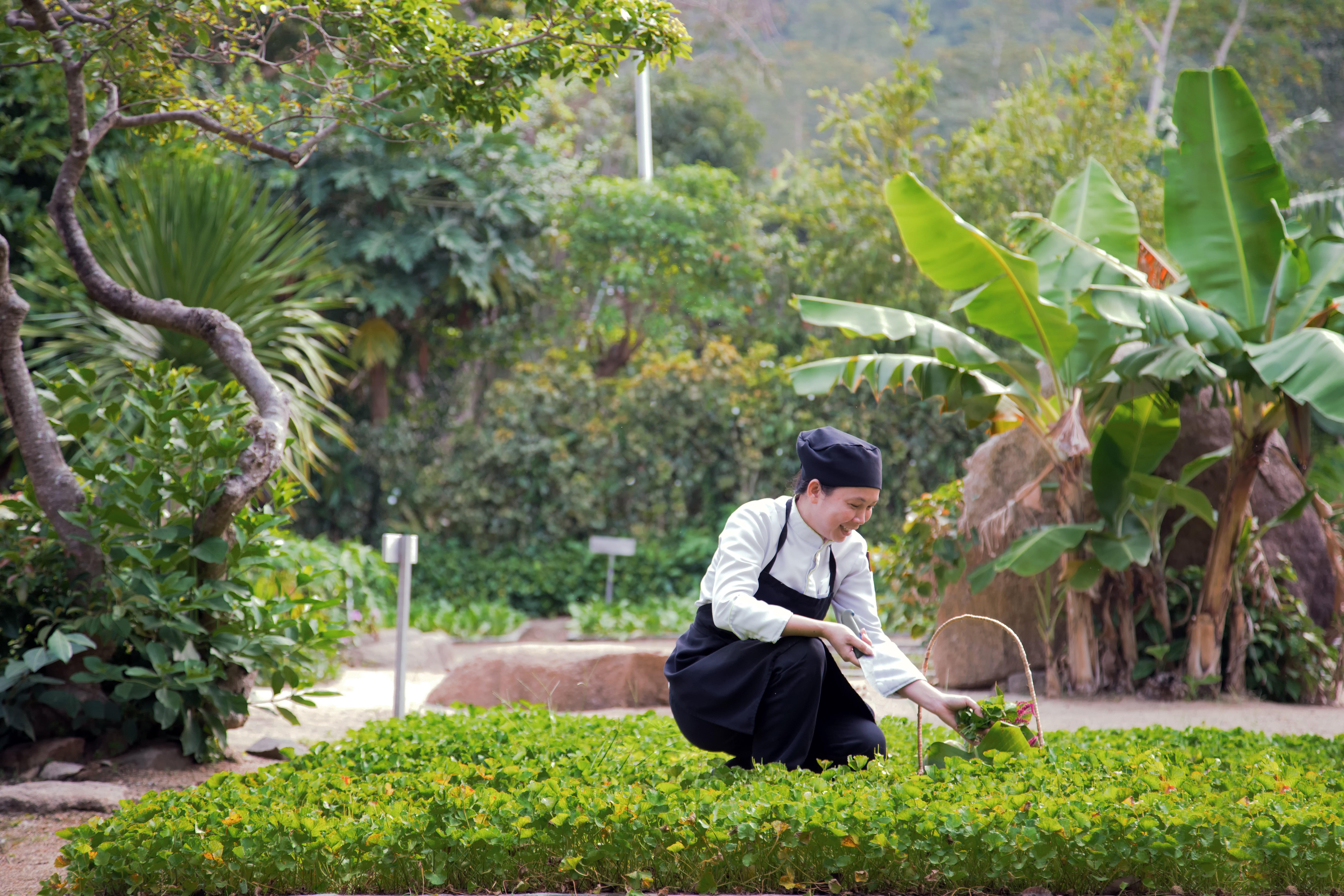 Six Senses Ninh Van Bay 51/60