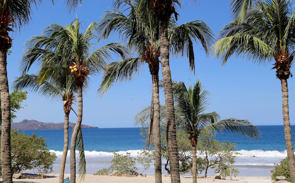 Margaritaville Beach Resort Flamingo Beach Ex Flamingo Beach 66/69
