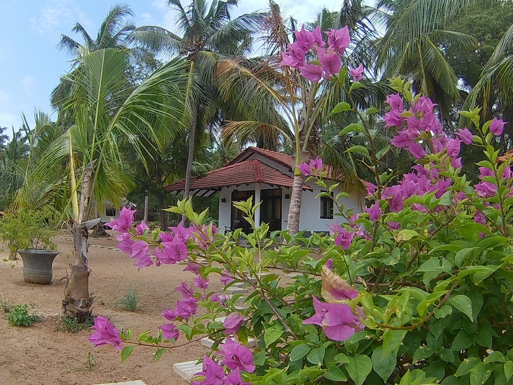 Chill Enjoy Cabanas & Restaurant 25/36