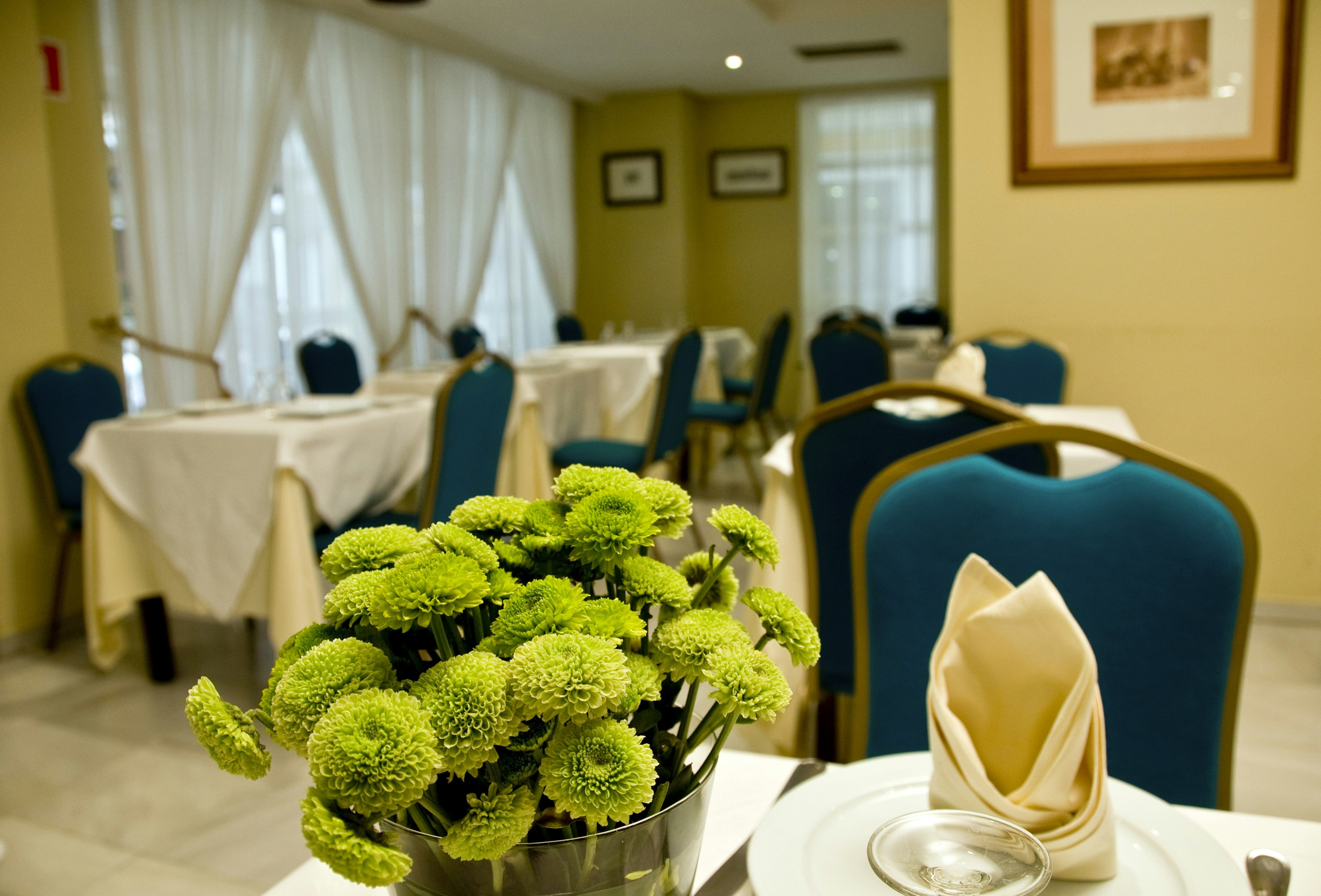 Navas Hotel 46/82