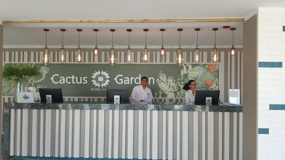 Fergus Cactus Garden 8/33