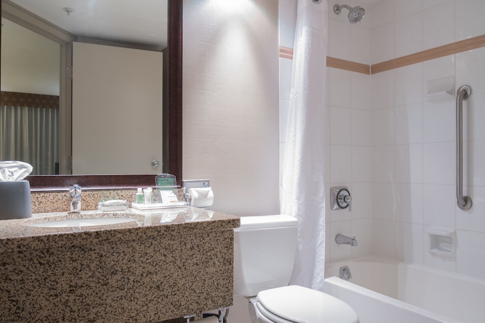 HOLIDAY INN HOTEL AND SUITES VANCOUVER DOWNTOWN 28/73