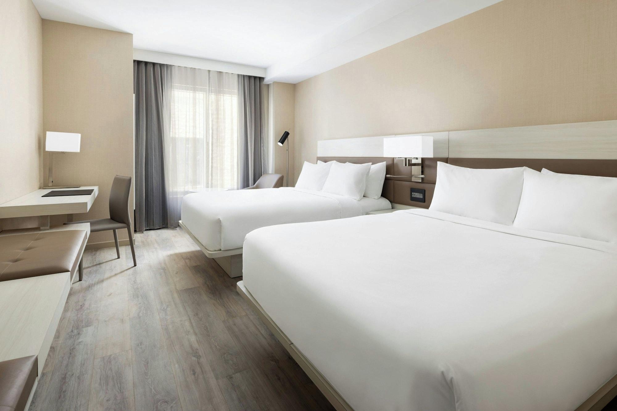 Studio, Multiple Beds, Accessible