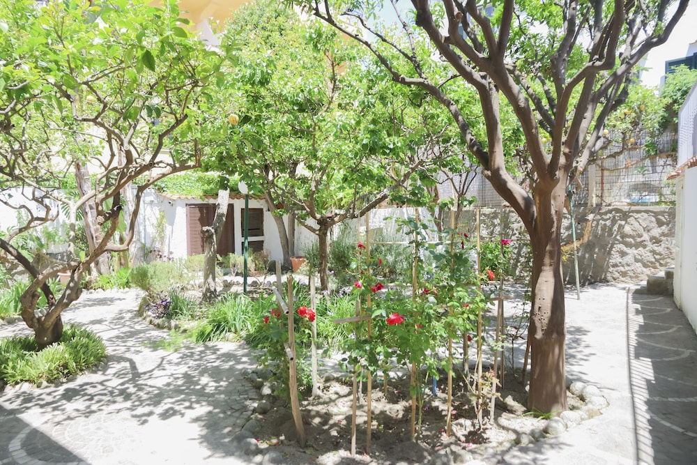Hotel Cesotta 58/66