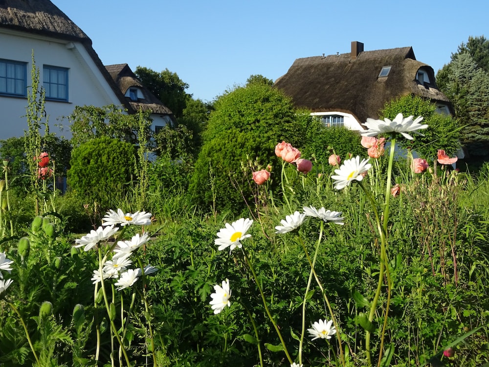 Landhotel Kastanienallee Putbus 40/50