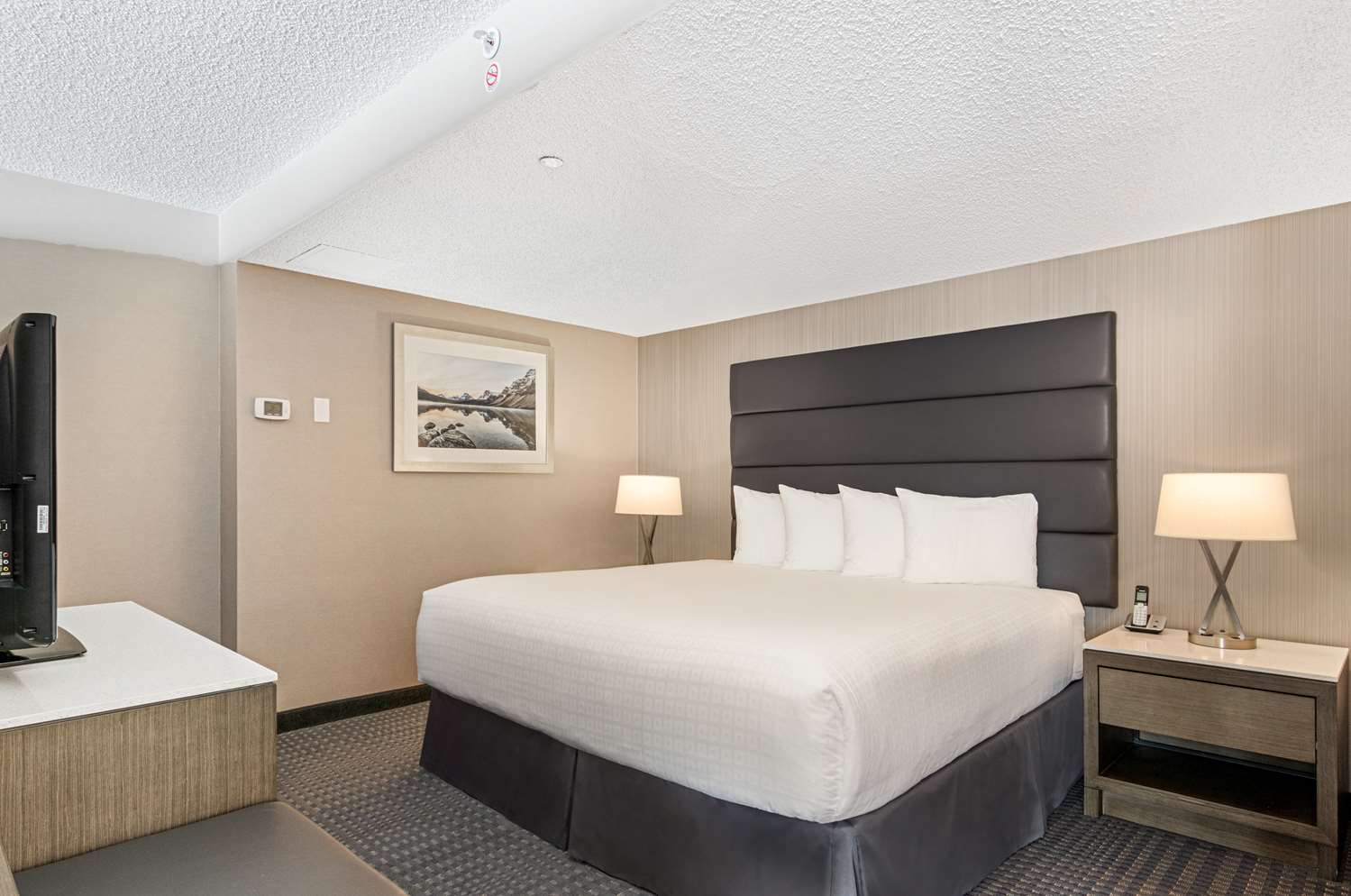 Best Western Premier Calgary Plaza Hotel and Conference Centre 11/65