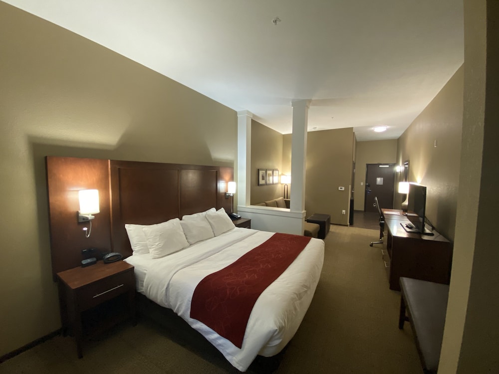 جناح بسرير كينج مع أريكة لذوي الإعاقة، Comfort Suites West Omaha, NE 9/10