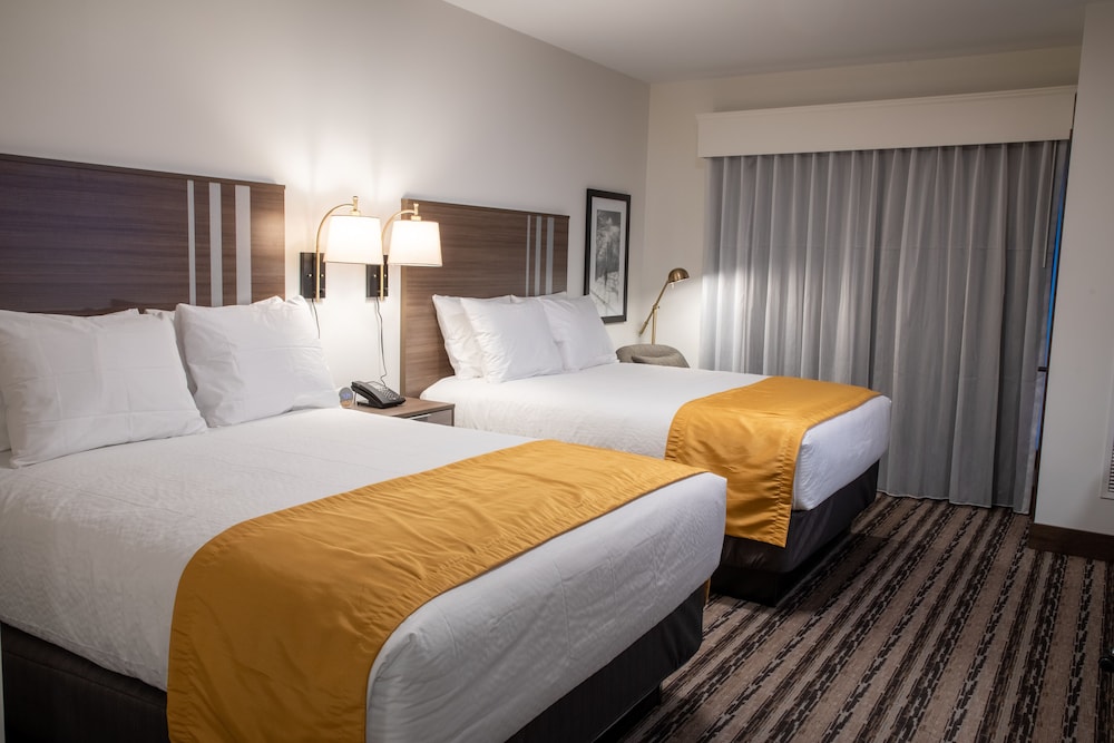 Lodge, Studio, 2 Queen Beds