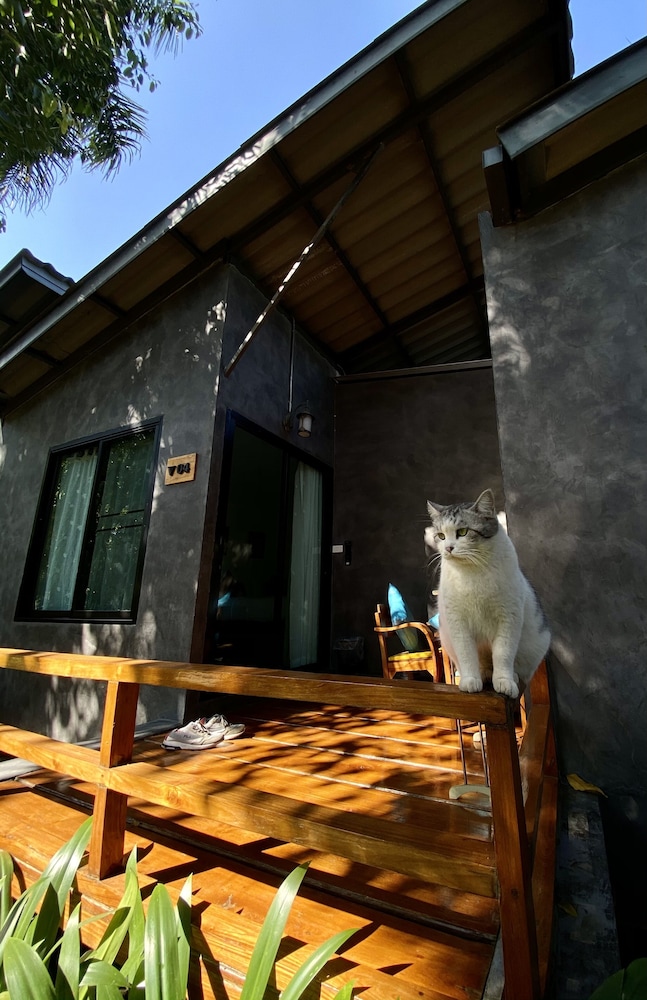 Family House At Pai 5/50