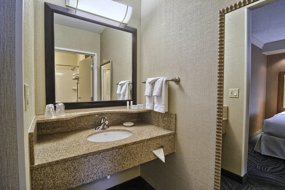Springhill Suites Detroit Southfield 13/56