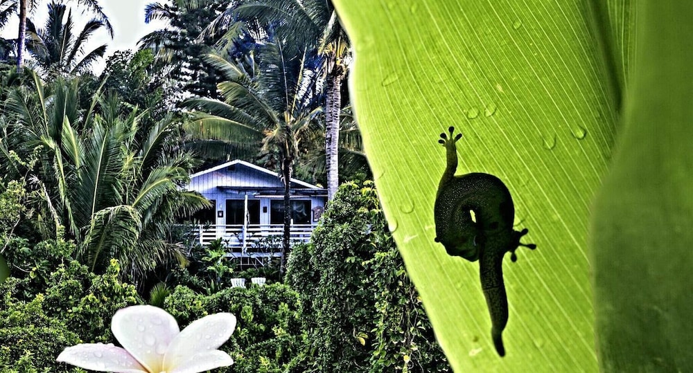 Ma'ukele Lodge 31/50