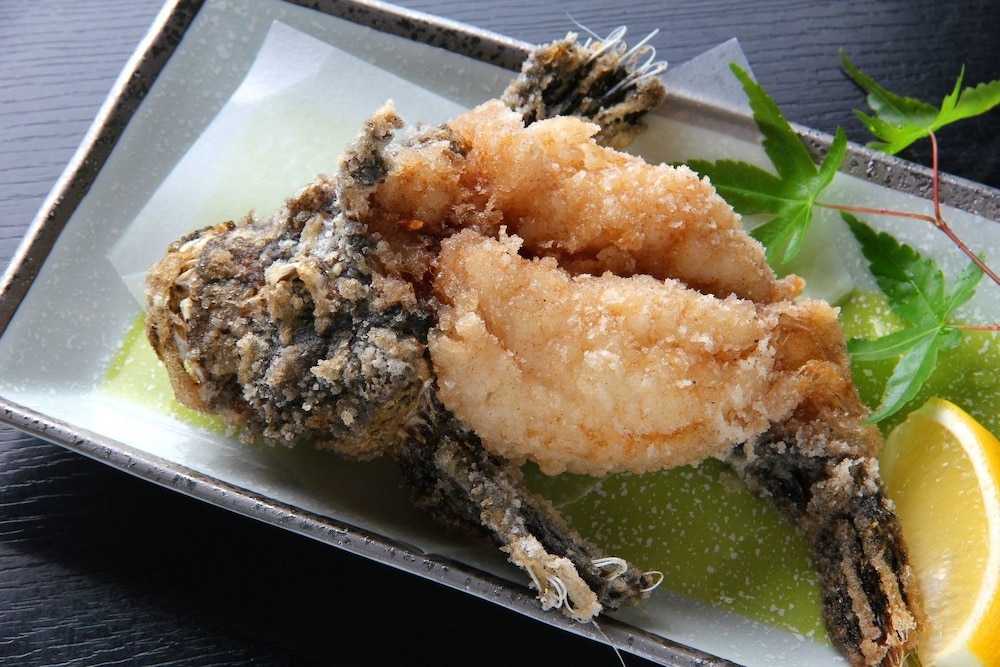 Resort Ryokan Yadokari 6/19