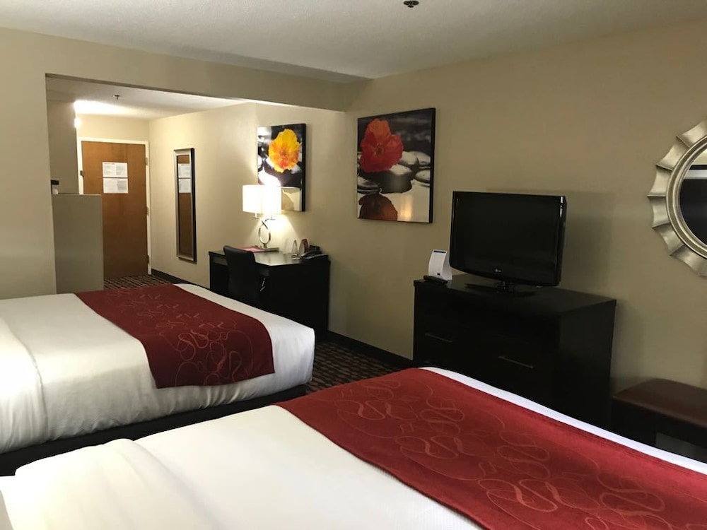 Comfort Suites Northside Hospital Gwinnett 20/47