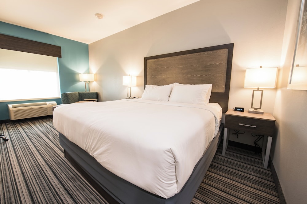 جناح بسرير كينج بغرفة نوم واحدة، Holiday Inn Express Suites Houston Se Airport Area 2/10