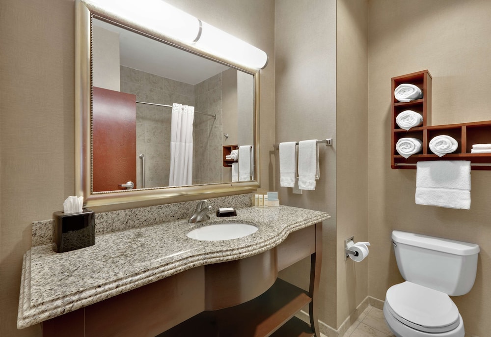 Hampton Inn Suites Abilene I-20 28/65