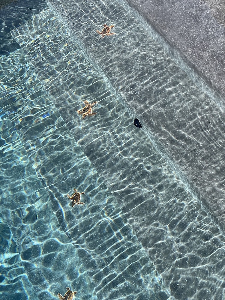 Mango Bay Resort 27/35