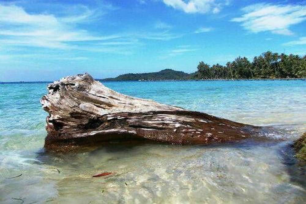 Dusita Resort Kohkood 52/67