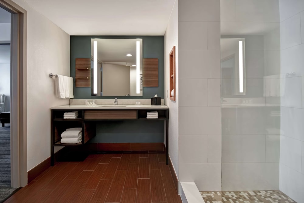 Hilton Garden Inn Houston/Galleria Area 16/58