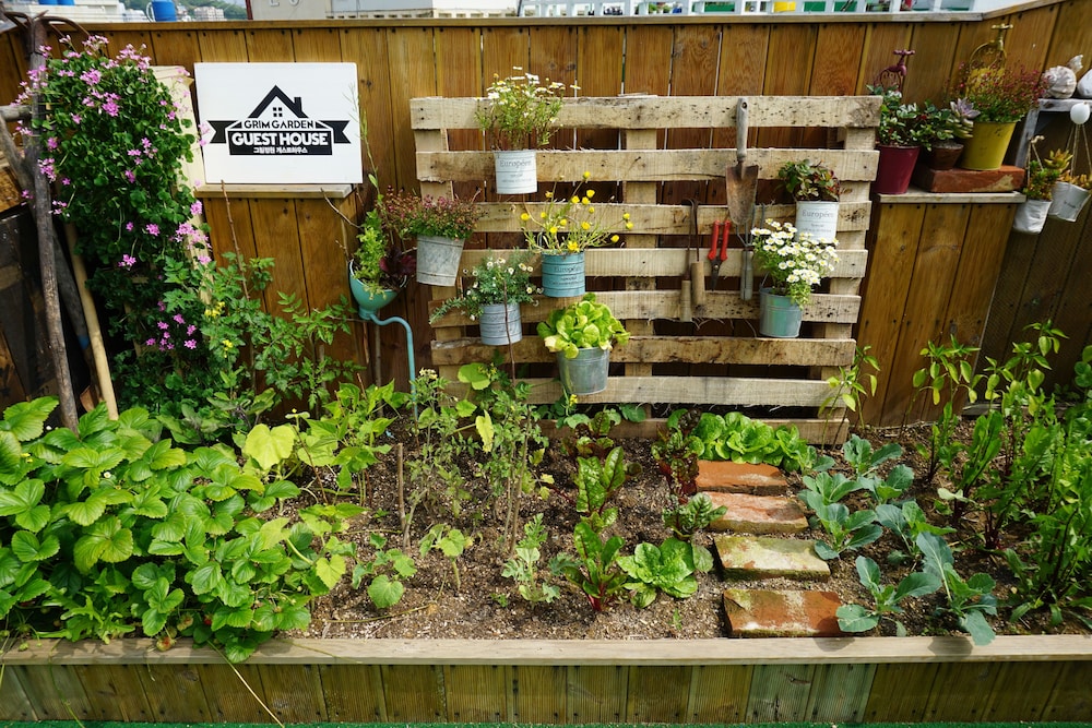 Grim Garden Guest House 3/38