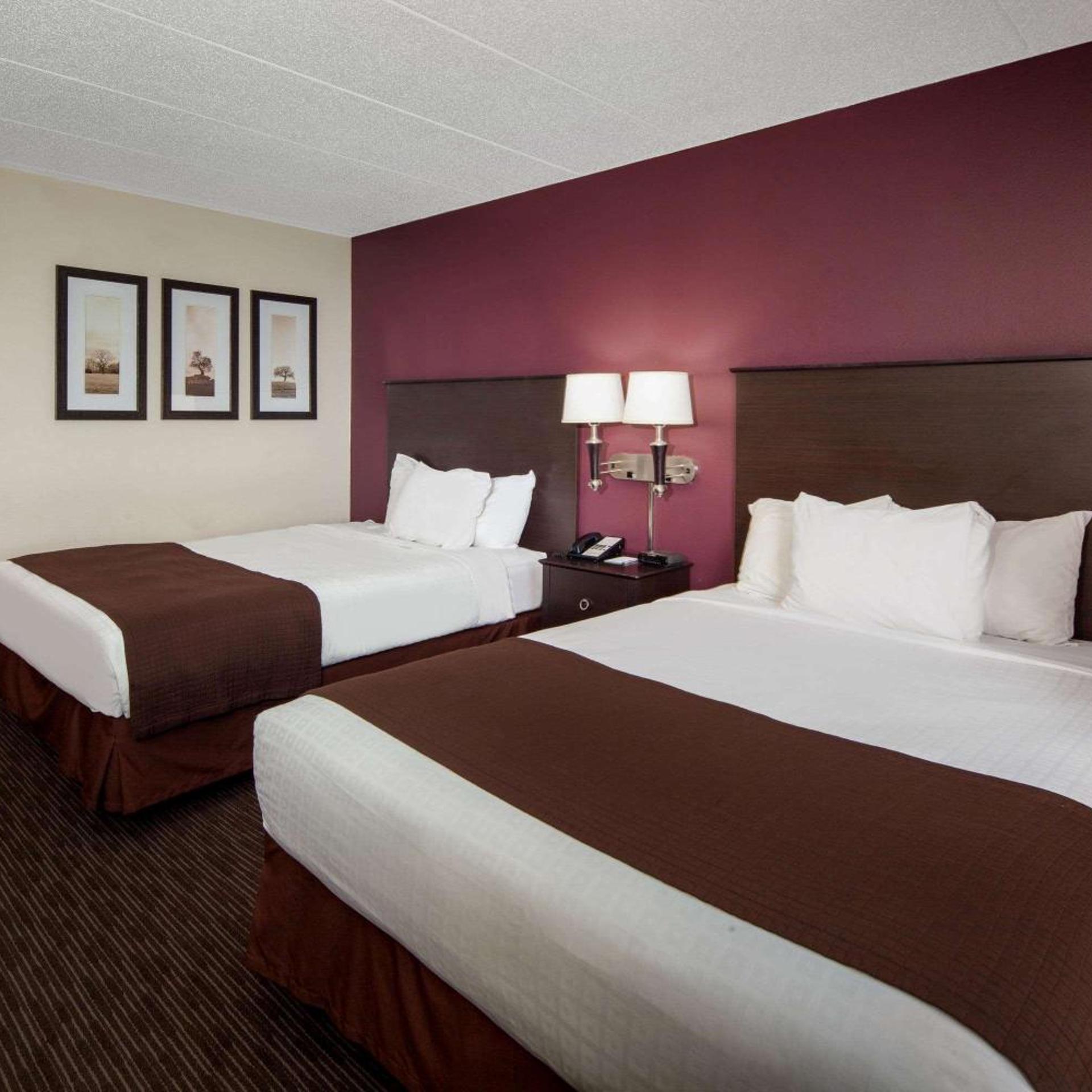Deluxe, Queen Bed, Accessible