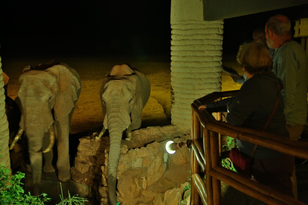 Salt Lick Safari Lodge 25/55