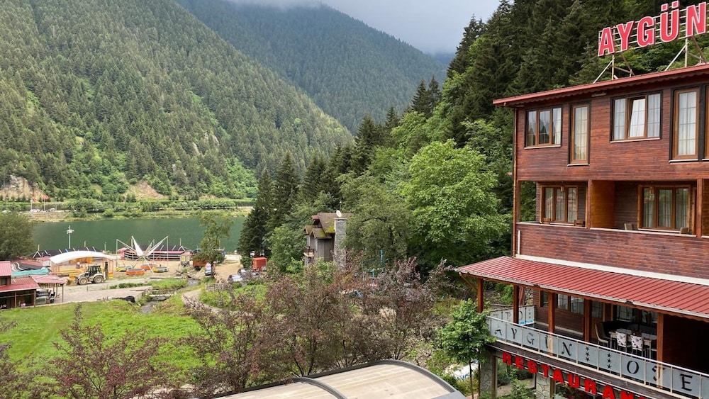 Aygun Suites Hotel & Bungalow Uzungol 2/50