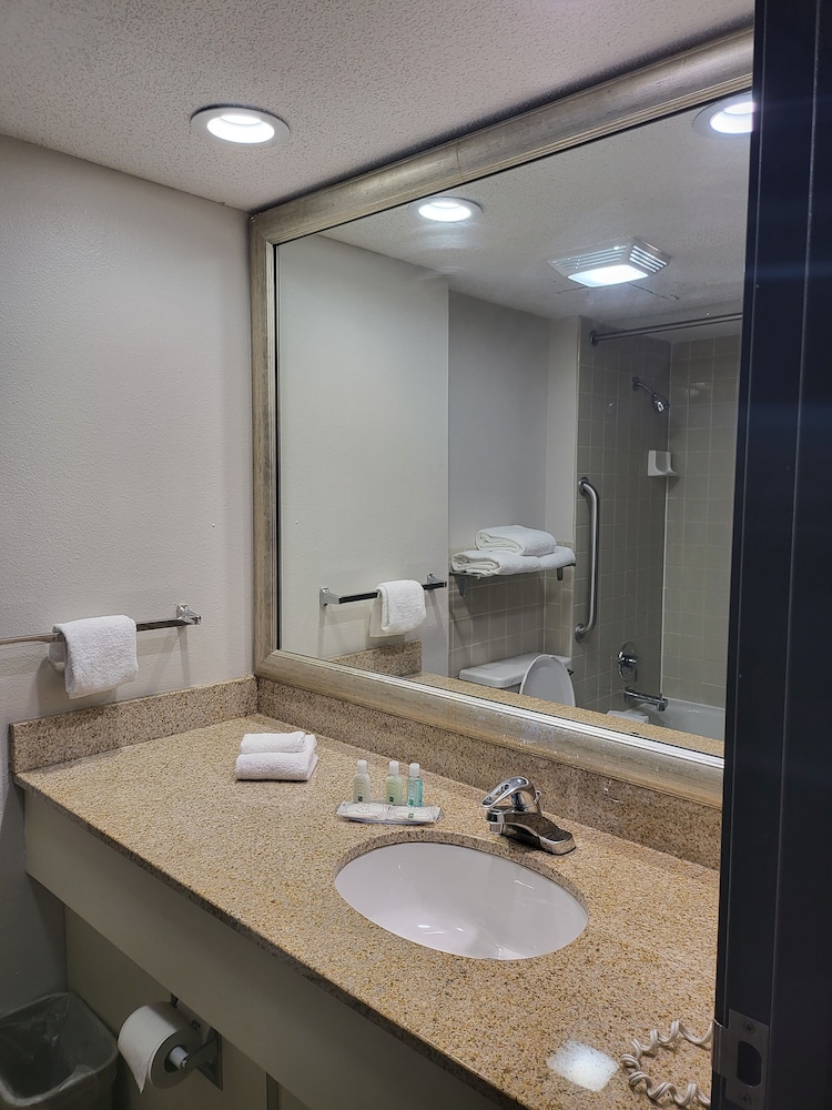 Quality Inn & Suites Mall of America - MSP Airport 17/38