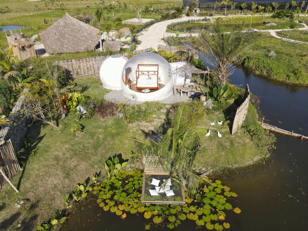 Green Land Bubble Glamping 48/60