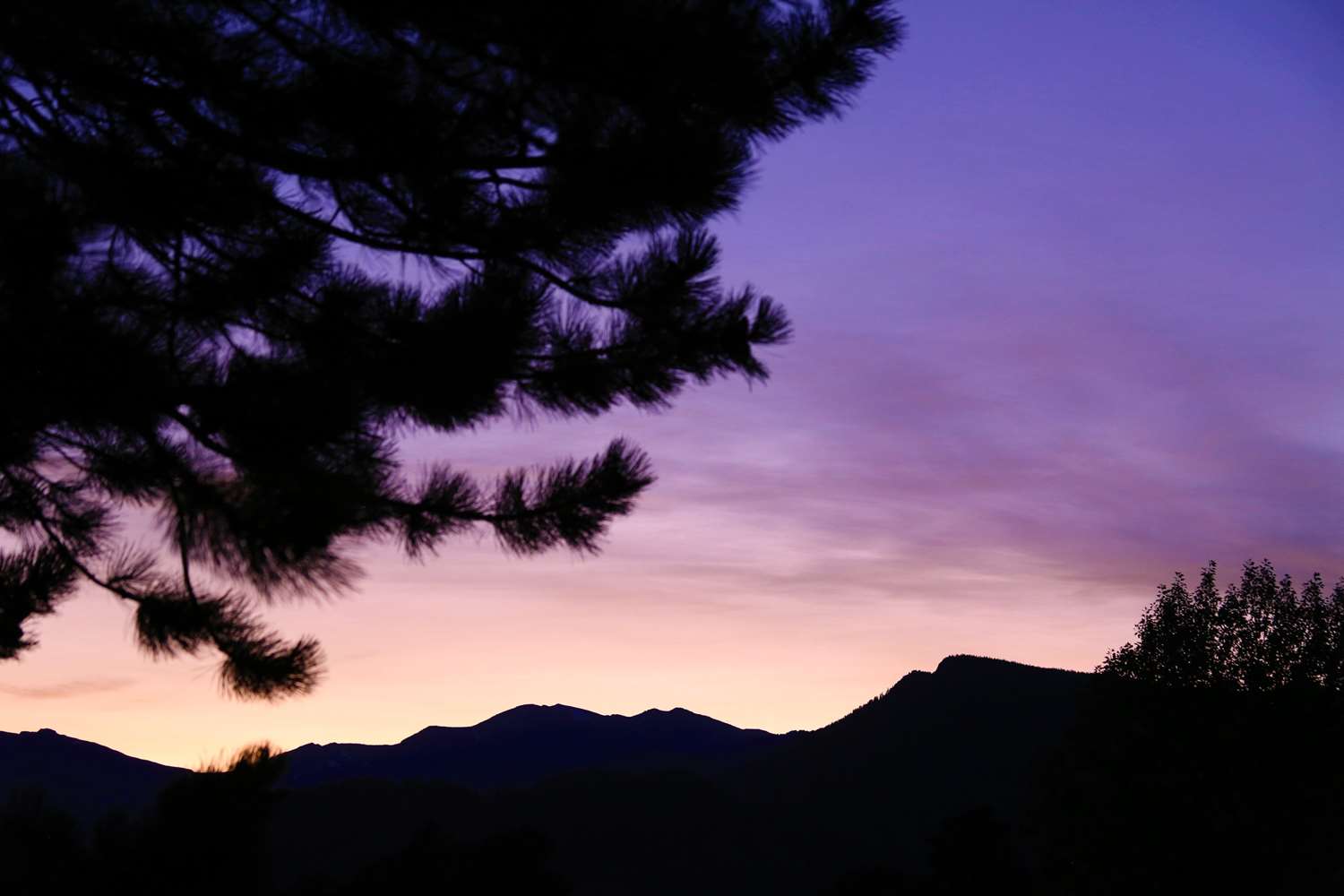 Quality Inn near Rocky Mountain National Park 8/17