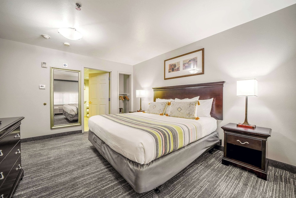 SUITE, KING BED